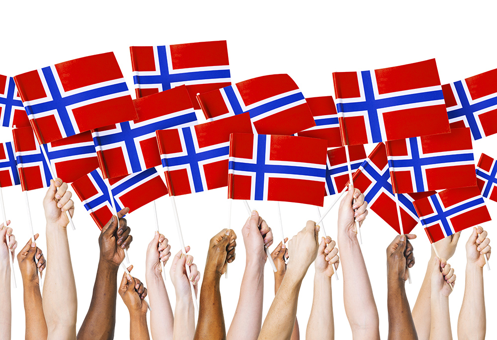 Norwegian Flag Sons Of Norway