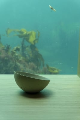 Ment bowl sitting on a table with the underwater windows in the background, at UNDER.