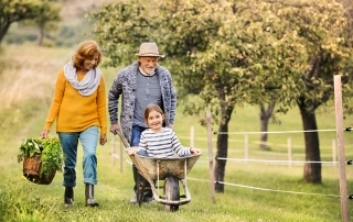 senior couple walking though grass, pushing grandchild in a wheelbarrow