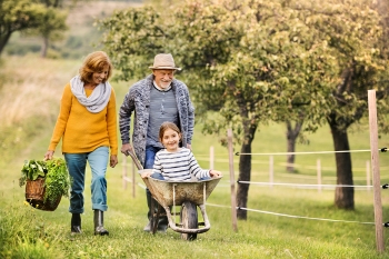 senior couple walking though grass, pushing grandchild in a wheelbarrow