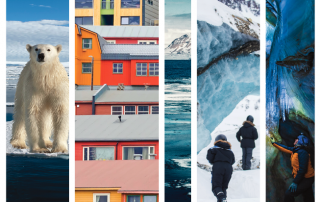 image collage of a polar bear, Nordic houses, hikers and ice caves