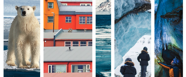 image collage of a polar bear, Nordic houses, hikers and ice caves