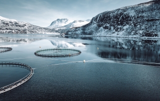 fish farm in Norway
