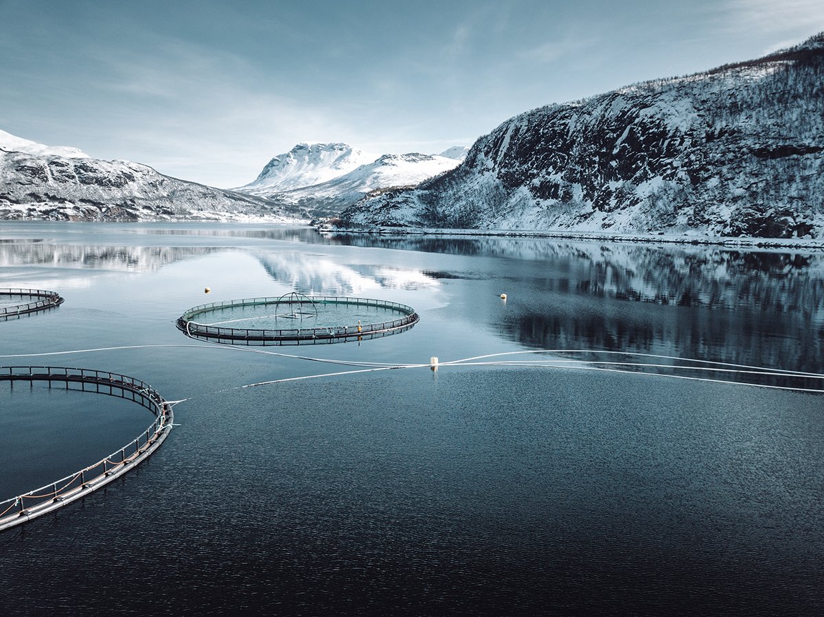 fish farm in Norway