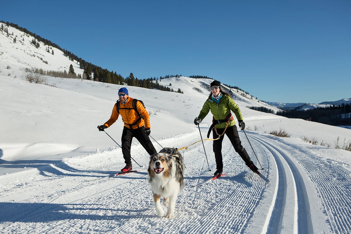 two people skiing behind a dog