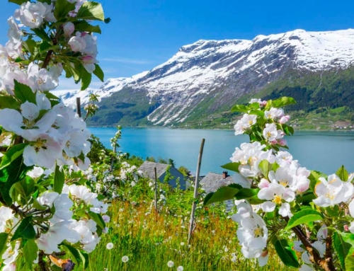 The Bountiful Nature of Hardanger