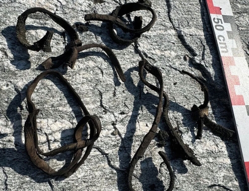 Jotunheimen Discovery: First of its Kind!