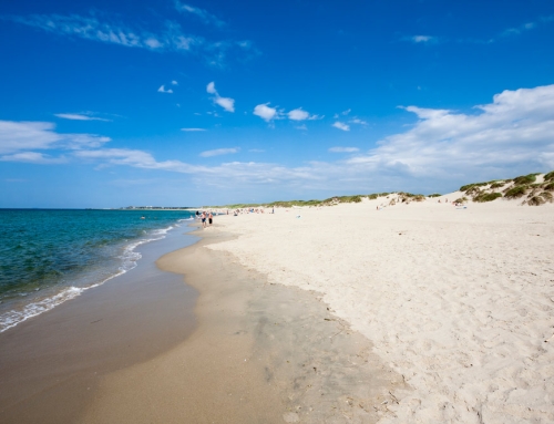 Best Beaches in Norway