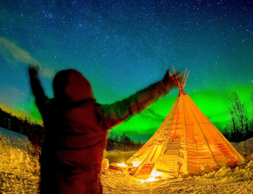 Panoramic Train Ride